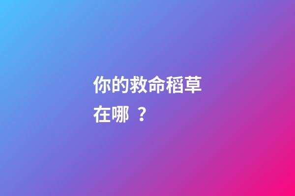 你的救命稻草在哪？